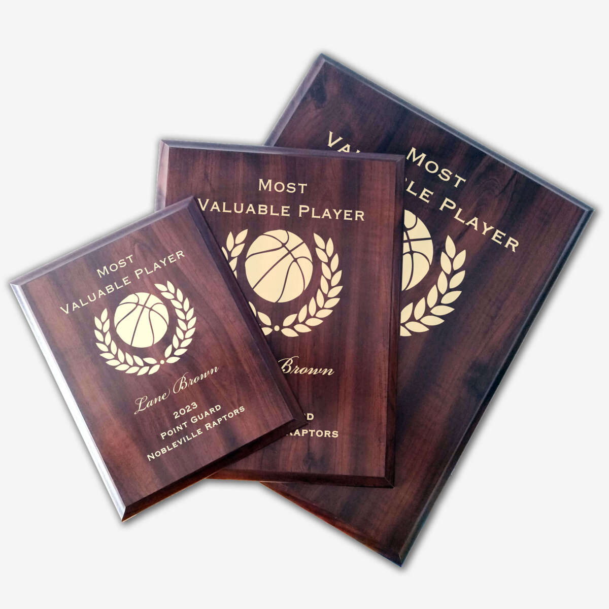 Photo of different sizes of the plaque spread out.