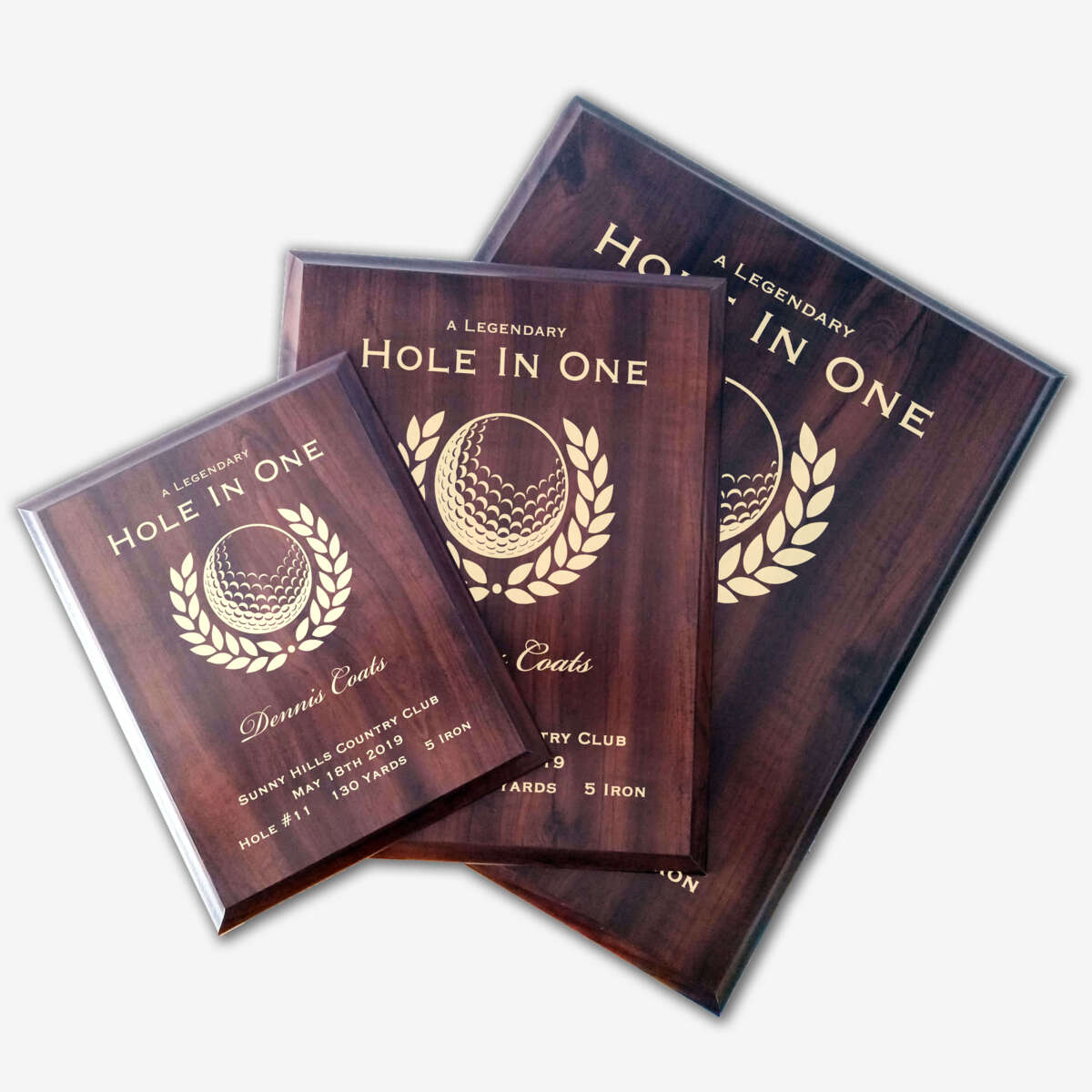 Photo of different sizes of the plaque spread out.