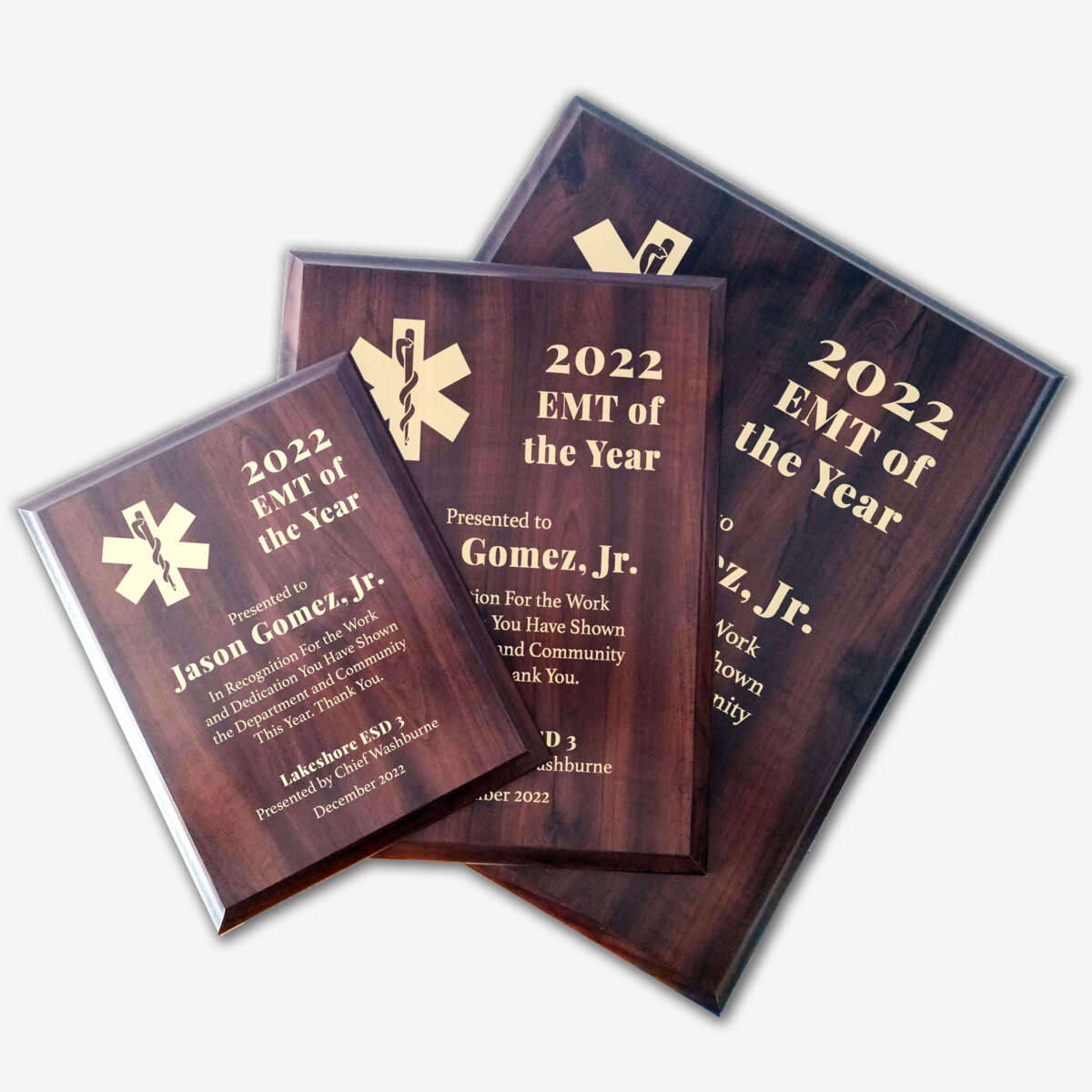 Photo of different sizes of the plaque spread out.