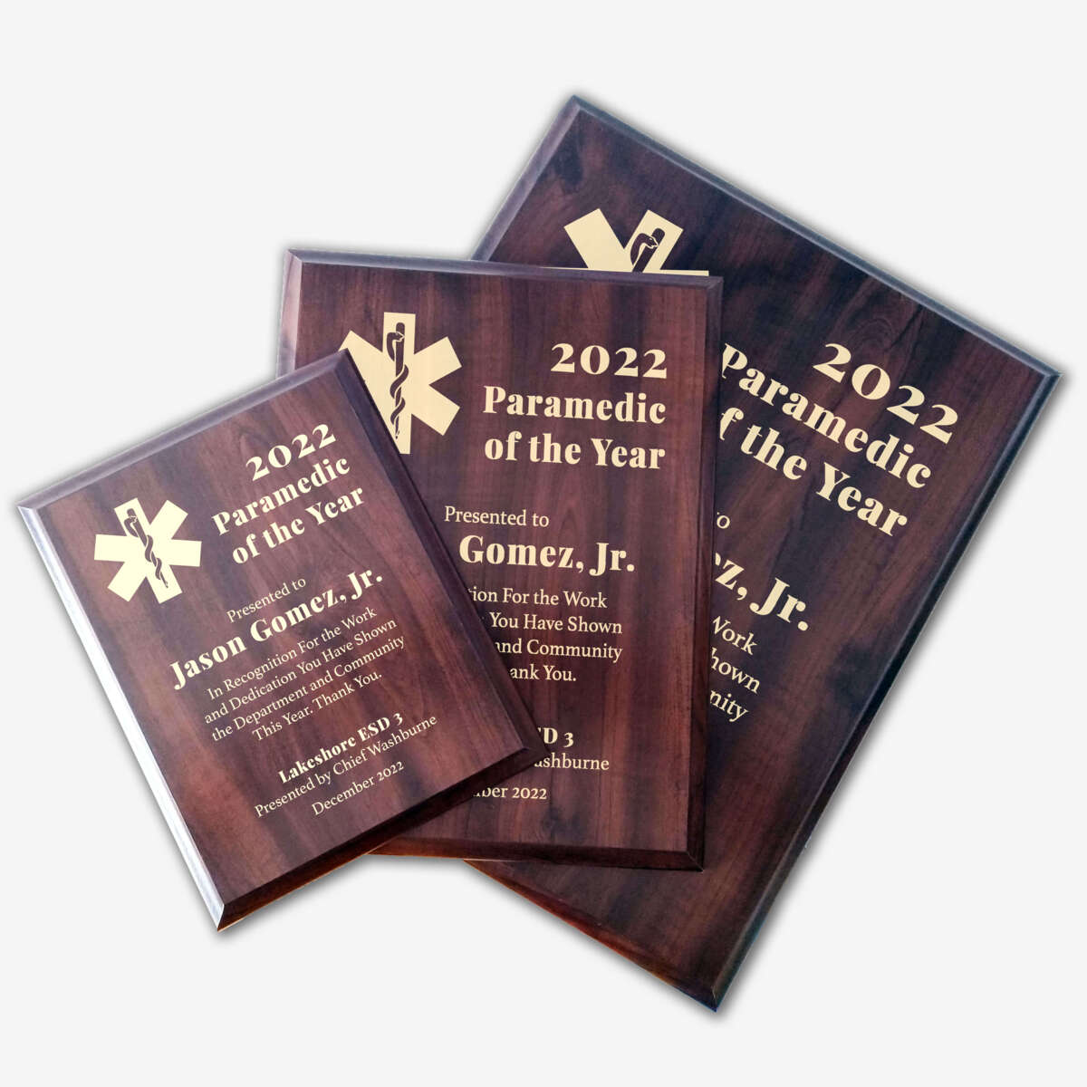 Photo of different sizes of the plaque spread out.