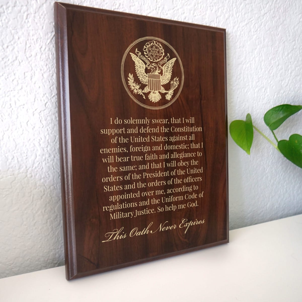 Oath of Enlistment Military Plaque | Patriotic American Decor for US ...