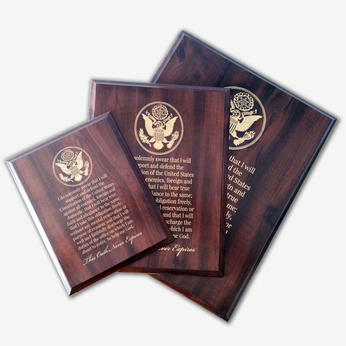 Photo of different sizes of the plaque spread out.