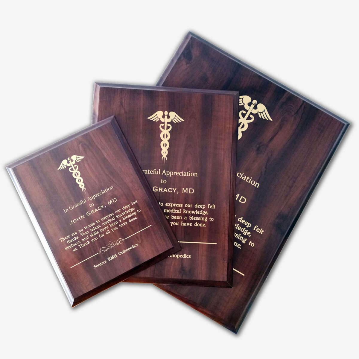 Photo of different sizes of the plaque spread out.